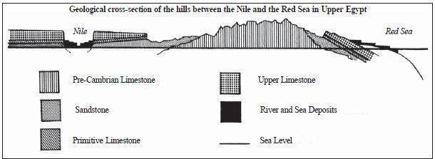 cross section